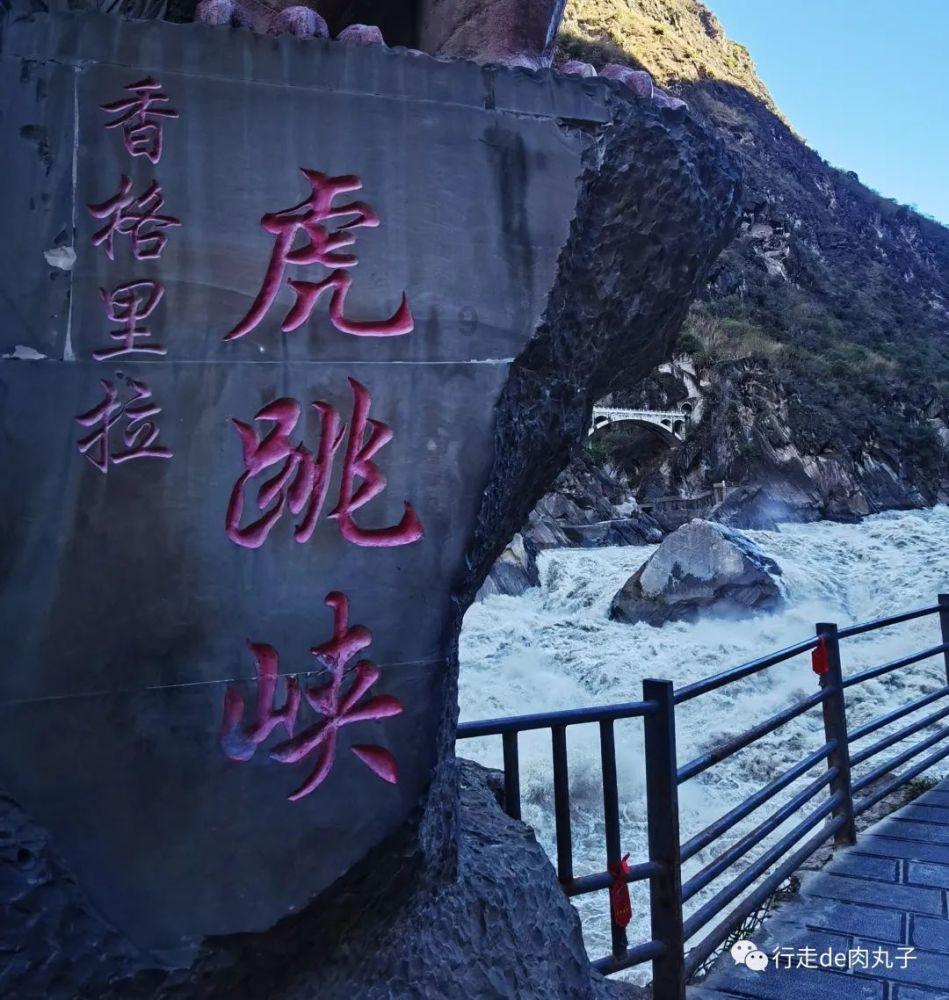 救援可爱的小丑